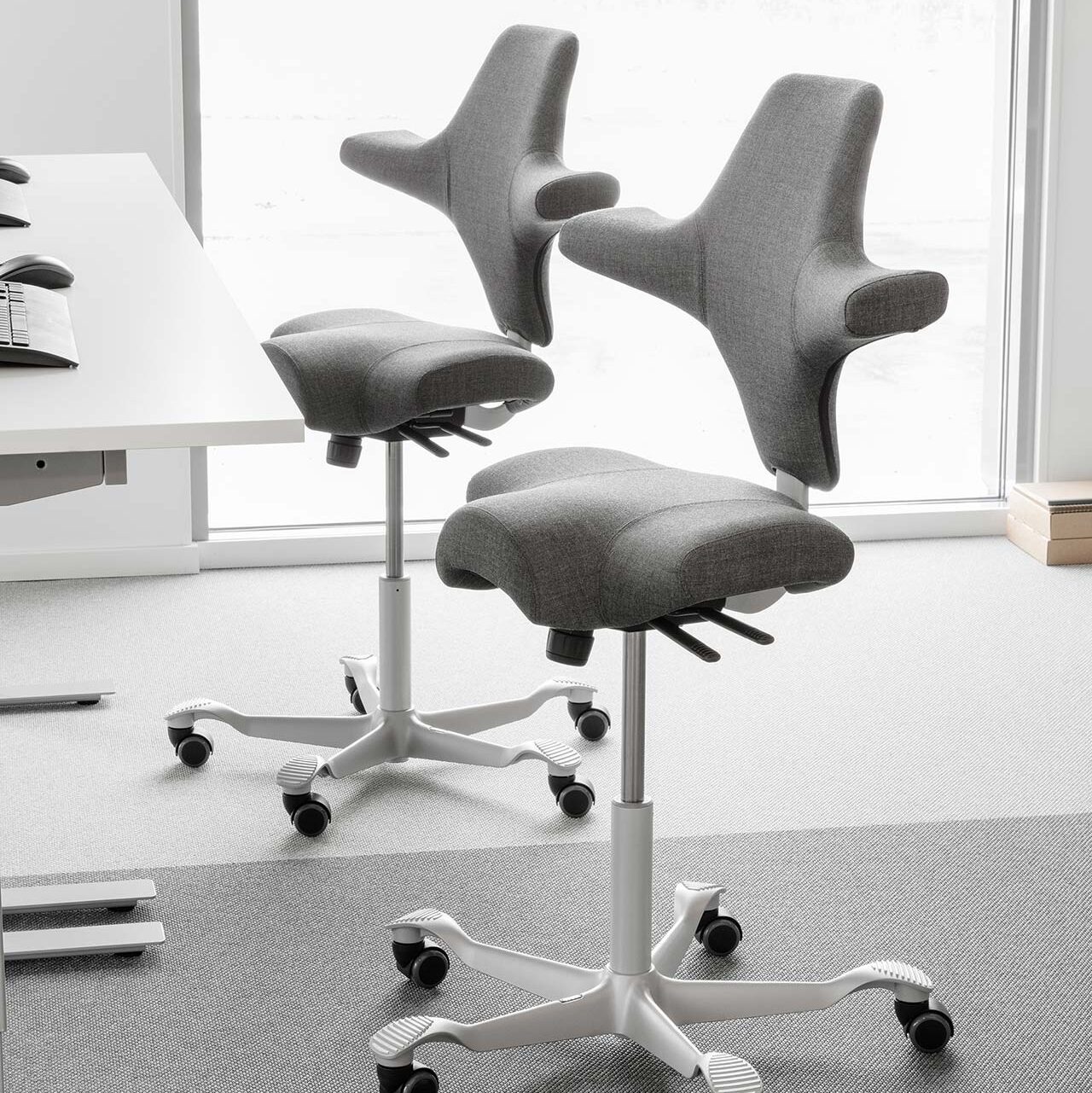 HAG Capisco Ergonomic Stool ergonomic chairs