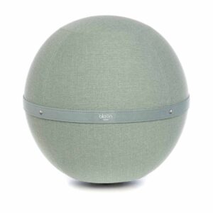 Bloon posture ball